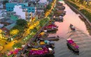 Chợ hoa “Trên bến dưới thuyền” bắt đầu hoạt động phục vụ Tết