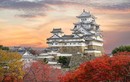 Soi từng ngóc ngách lâu đài “Hạc trắng” đẹp nhất Nhật Bản 