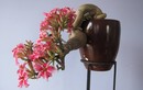 Loài cây may mắn, hút lộc, trồng nhiều ở đền chùa Việt Nam