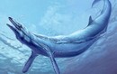 Cận cảnh loài cá voi quái vật đáng sợ nhất từng tồn tại 