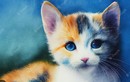 Lội ngược dòng ngày cuối tháng 4, 4 con giáp vận may bùng nổ