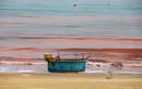 Nước biển ở Hà Tĩnh đổi màu bất thường, người dân lo lắng