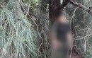 Phát hiện thi thể nam thanh niên tử vong trong rừng ở Quảng Bình