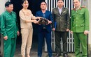 Người dân Hà Tĩnh giao nộp cá thể rùa đất quý hiếm 