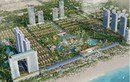 Khu đất vàng gần 60ha ở Vũng Tàu chuẩn bị lên sàn đấu giá