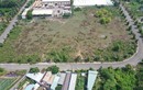 Đồng Nai đấu giá 46.000m2 đất, khởi điểm hơn 113 tỷ đồng