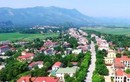 Thanh Hóa sắp đấu 46 lô đất, khởi điểm từ 1,5 triệu/m2