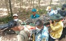 Người đàn ông ở Quảng Bình tử vong khi vào rừng soi ếch