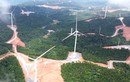 Quảng Trị chấm dứt chủ trương đầu tư 5 dự án điện gió