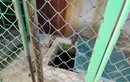 Xót xa bé trai tử vong trong bể chứa nước ở trường mầm non