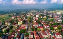 Phú Thọ sắp đấu giá 209 lô đất, khởi điểm 1,6 triệu/m2