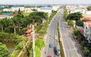 Phúc Thọ đưa 14 lô đất lên sàn, khởi điểm gần 9 triệu/m2