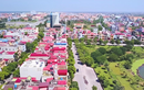 Dừng phiên đấu giá 60 lô đất ở Hưng Yên