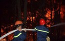Lặng người những dòng sẻ chia chống cháy rừng ở Hà Tĩnh trên MXH