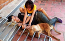 Thanh Hóa: Người dân xích cặp tình nhân trộm chó cùng tang vật