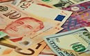 Tỷ giá ngoại tệ ngày 15/8: Euro sụt giảm, USD lên cao