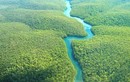Trước trận cháy kỷ lục, rừng nhiệt đới Amazon đẹp thế nào?