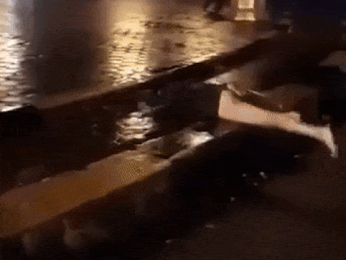 Video: Cô gái nghi ngáo đá, lột đồ 'bơi như cá' giữa quảng trường
