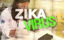 Bé sơ sinh đầu tiên tử vong vì Zika tại Mỹ