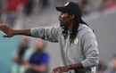 Soi kèo phạt góc Qatar vs Senegal 20h 25/11 bảng A World Cup 2022