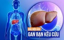 Video: Cách tự xem gan của bạn khỏe hay yếu chỉ trong 1 phút