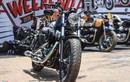 Harley-Davidson Forty-Eight phiên bản đặc biệt tại Việt Nam