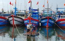 Đà Nẵng: Nghỉ học, nghỉ làm, dừng họp chợ để tránh siêu bão Noru