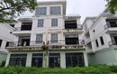 Đà Nẵng: Xót xa loạt shophouse chục tỷ bỏ hoang, cỏ phủ kín