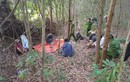 Phú Yên: Triệt xóa sòng bạc “lưu động” trong rừng keo 