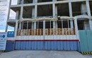 Cận cảnh dự án căn hộ cao cấp Asiana Đà Nẵng ở “thiên đường Vịnh Ngọc”