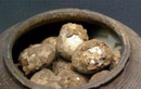 Chuyên gia cảnh báo: Các quả trứng trong lăng mộ cổ giống bom vi khuẩn