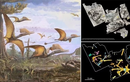  Phát hiện hóa thạch của loài tằn lằn bay ở Scotland