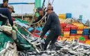 Ngư dân trúng 30 tấn cá ngừ nhờ độc chiêu “chà dụ“