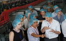 Sinh viên ĐH New York tham quan nhà máy Tân Hiệp Phát