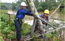 Lưới điện 6 tỉnh bị ảnh hưởng mưa lũ đã được khôi phục hoàn toàn