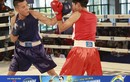 “Bóng hồng” so găng kịch tính tại giải Boxing tranh đai Number 1