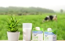 TH True Milk “hữu cơ hóa” ngành sữa Việt! 