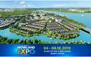 Nắm bắt xu hướng và cơ hội đầu tư với Novaland Expo 12/2019