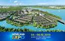 Novaland Expo - nâng tầm uy tín với sự tham gia của hơn 40 đối tác chiến lược