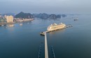 WTA vinh danh cảng tàu khách quốc tế Hạ Long