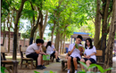 MXH bỗng chốc “xanh rì” với “Triệu cây vươn cao cho Việt Nam xanh”