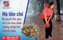 Mã tiền chế - Bí quyết đối phó cơn đau nhức xương khớp khi chuyển mùa