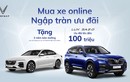 VinFast ưu đãi lớn cho khách hàng mua online trong tháng 8/2021