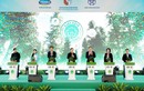 Dự án trồng cây hướng đến Net Zero Carbon khởi động tại Hà Nội