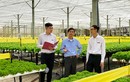 Agribank quyết liệt triển khai các giải pháp hỗ trợ doanh nghiệp vượt khó