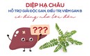 Diệp hạ châu hỗ trợ giải độc gan, điều trị viêm gan B có đúng như lời đồn