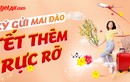 Đưa Xuân đi khắp mọi miền với dịch vụ vận chuyển mai, đào của Vietjet dịp Tết 2024