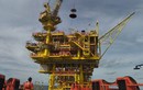 Hướng đi mới cho lĩnh vực thăm dò, khai thác của Petrovietnam