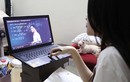 Có gì đặc biệt trong những lớp học livestream “giờ lạ” trên TikTok?