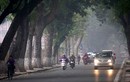 Ngày 17/1: Bắc Bộ, đêm và sáng trời rét, ngày nắng